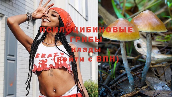 МДПВ Лиски
