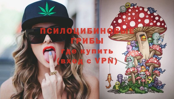 МДПВ Лиски