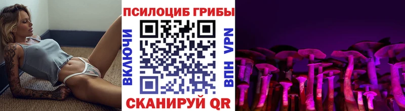 Галлюциногенные грибы Cubensis  Купить закладки  Южно-Сухокумск 