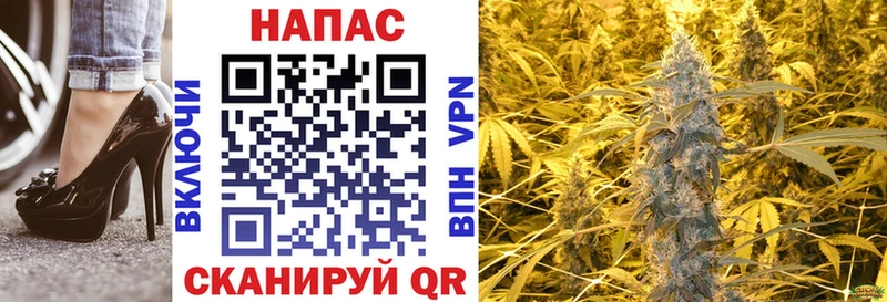 Бошки марихуана OG Kush  Купить где  Южно-Сухокумск 